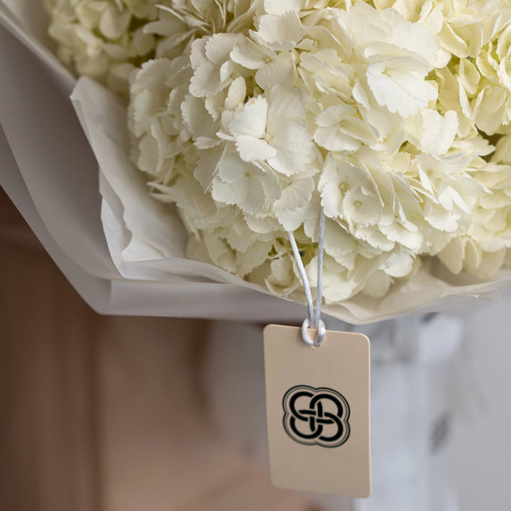 Bouquet with white hydrangea flowers