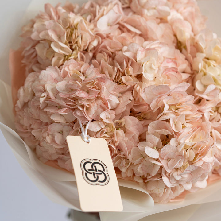 Bouquet with light pink hydrangea flowers