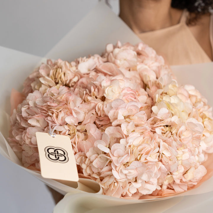 Bouquet with light pink hydrangea flowers