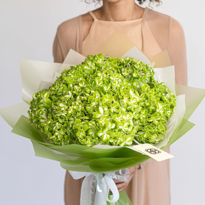 Bouquet with 10 green hydrangea flowers