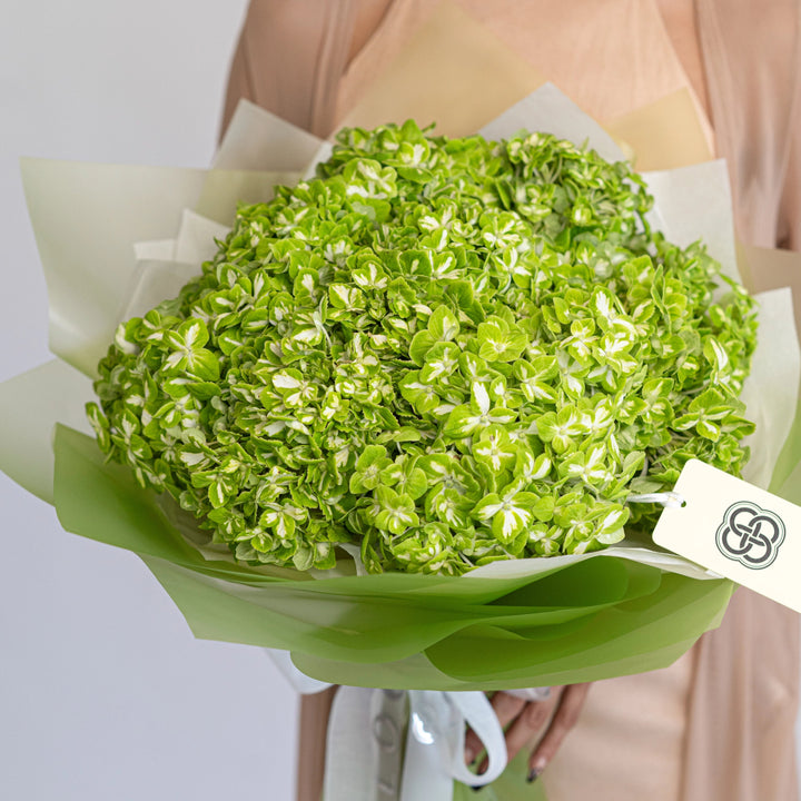 Bouquet with 10 green hydrangea flowers