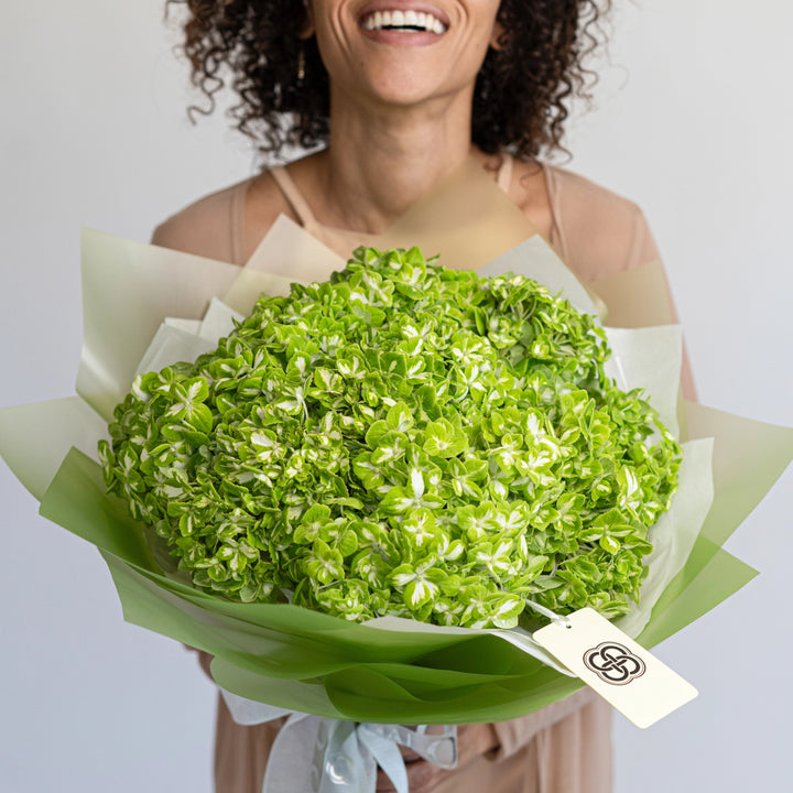 Bouquet with 10 green hydrangea flowers