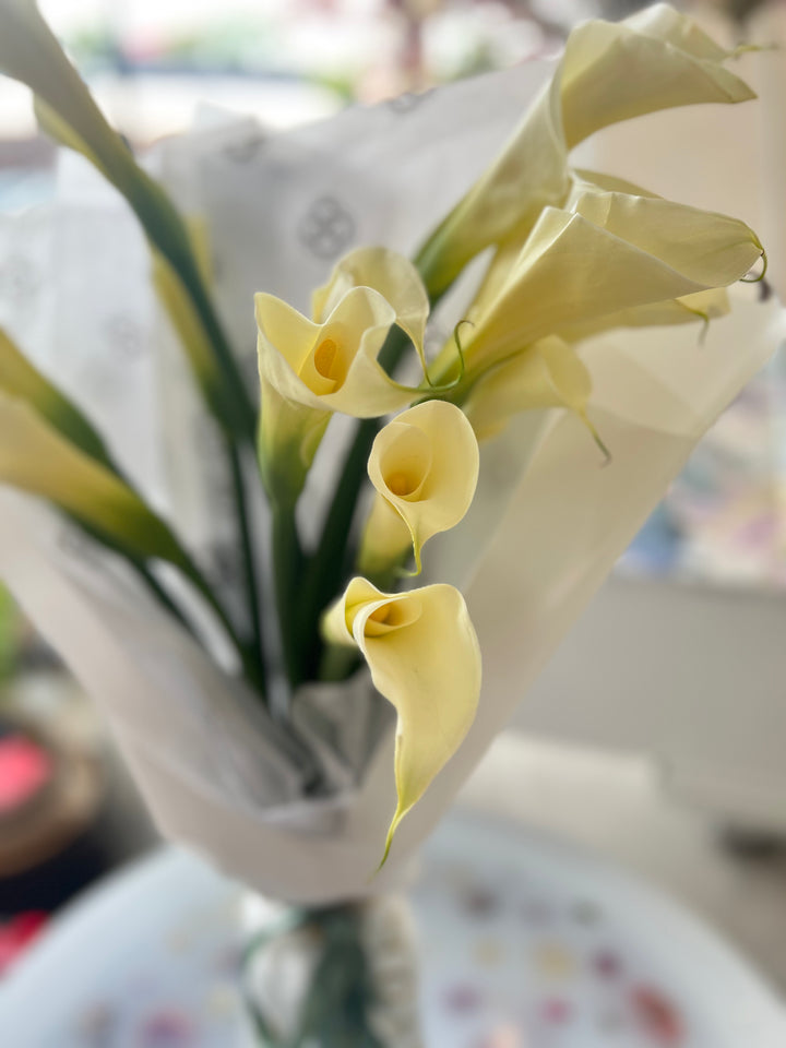 Bouquet of white calla flowers