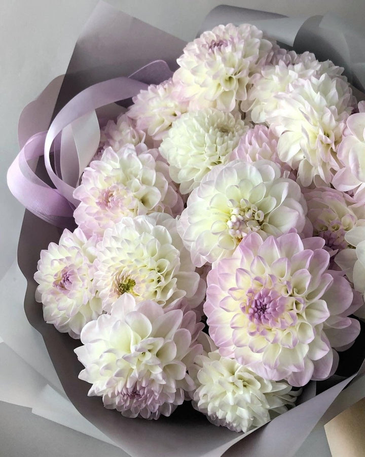 Bouquet of tender dahlias