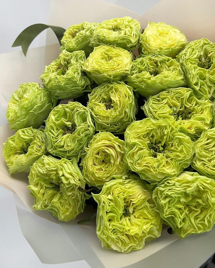 Bouquet of 21 green roses