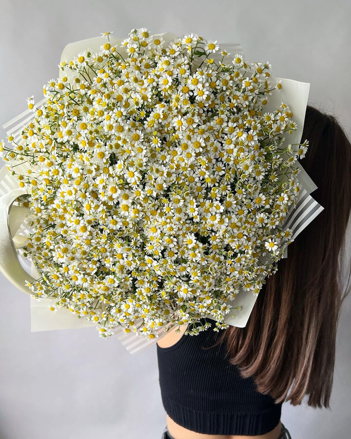 Bouquet of 120 daisies