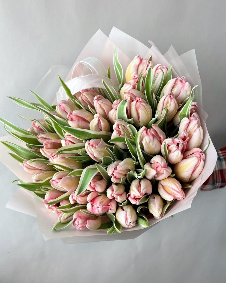 Bouquet of 51 delicate tulips