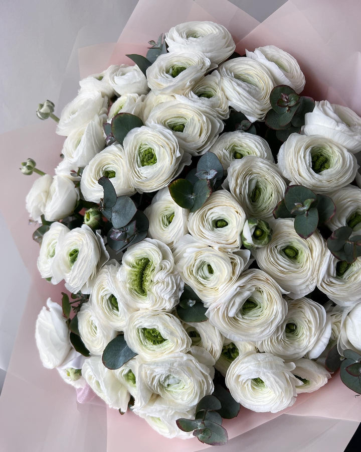Bouquet of 50 white ranunculus