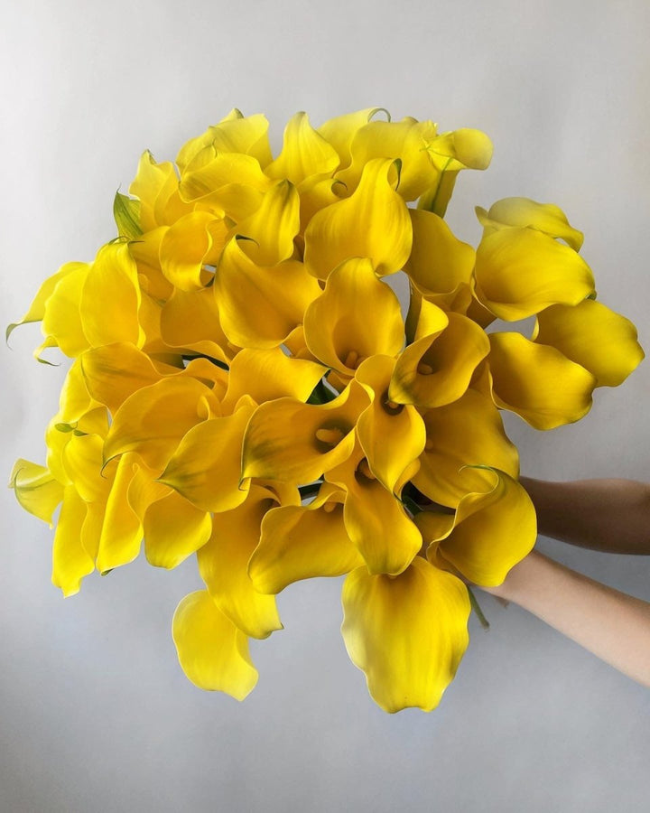 Bouquet of 31 yellow calla flowers