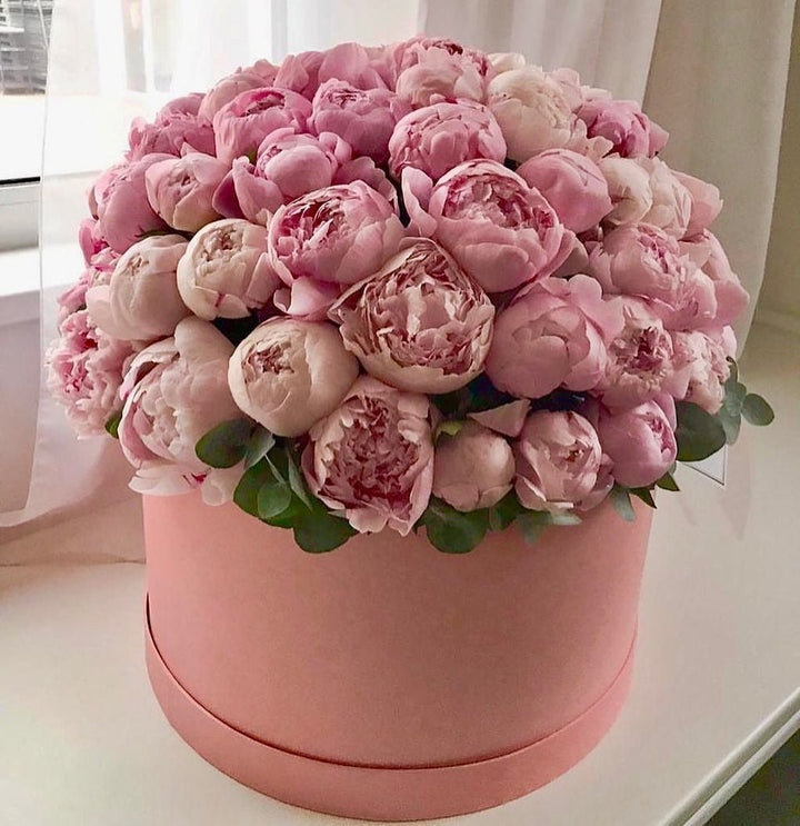 Box of 50 pink peonies