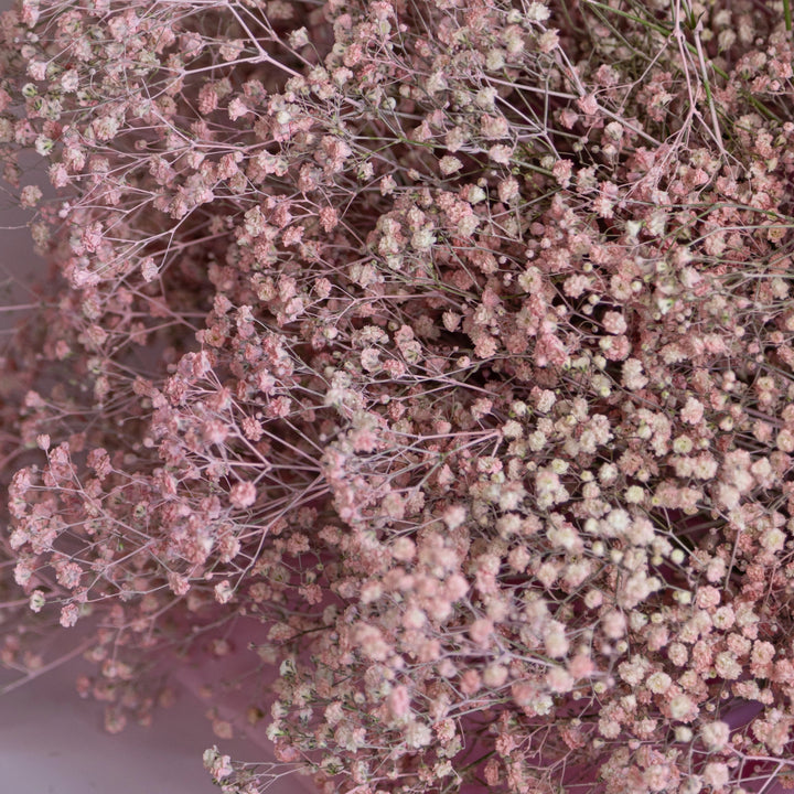 Bouquet with 15 pink giant baby breath