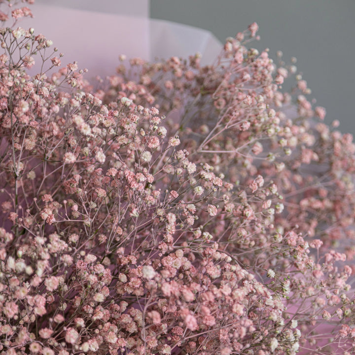 Bouquet with 15 pink giant baby breath