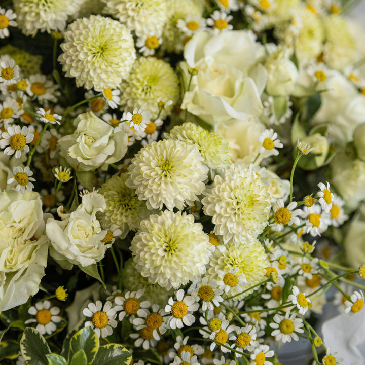 Bouquet "Summer vibe" with chamomile and white spray rose