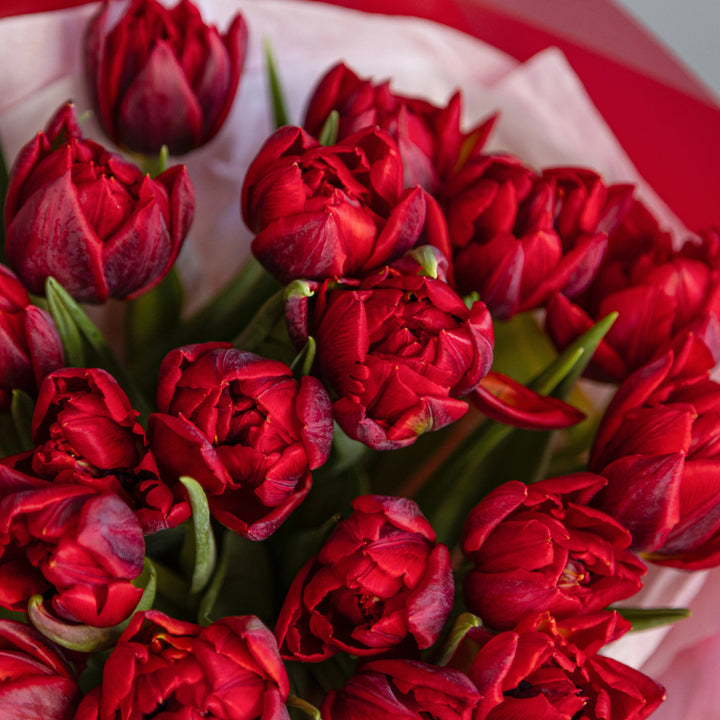 Bouquet 20 double red tulips