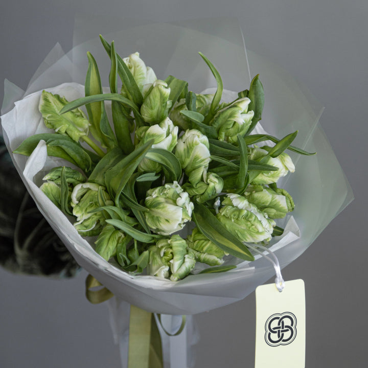 Bouquet 20 green parrot tulips