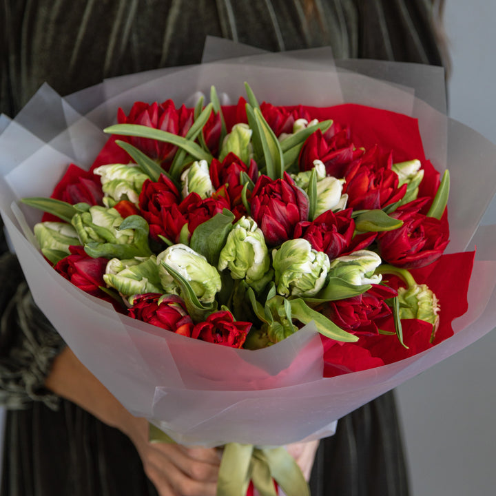 Bouquet of 20 green and red luxury tulips