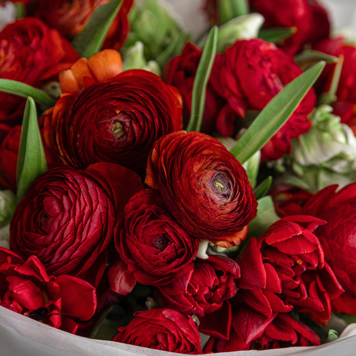 Bouquet "Red Passion" with tulips