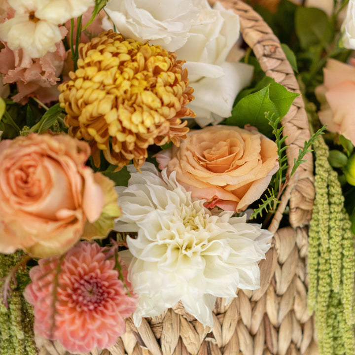 Flower basket Fragrant cloud