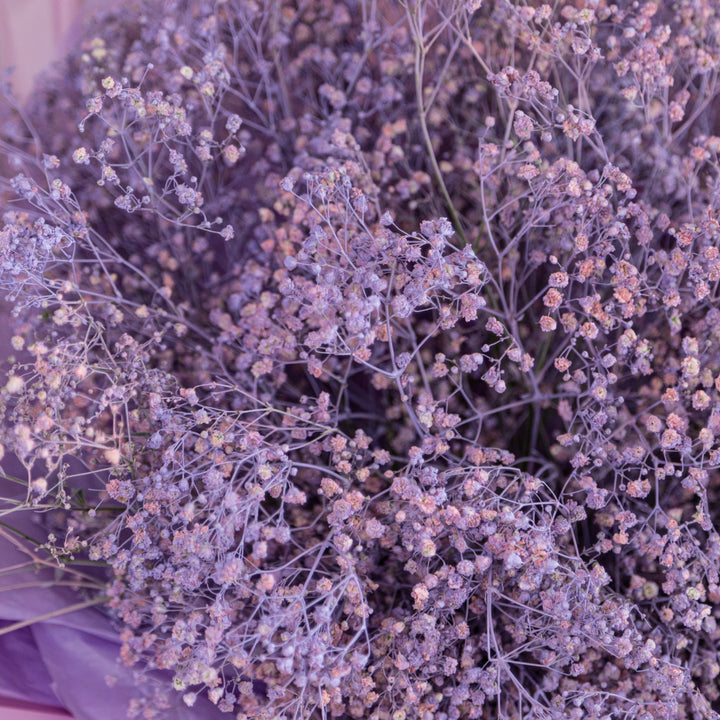 Bouquet 15 purple giant baby breath flowers