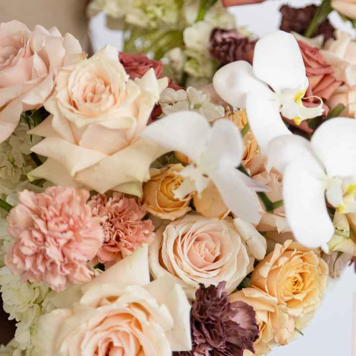 Caffè Latte Basket with white hydrangea and rose