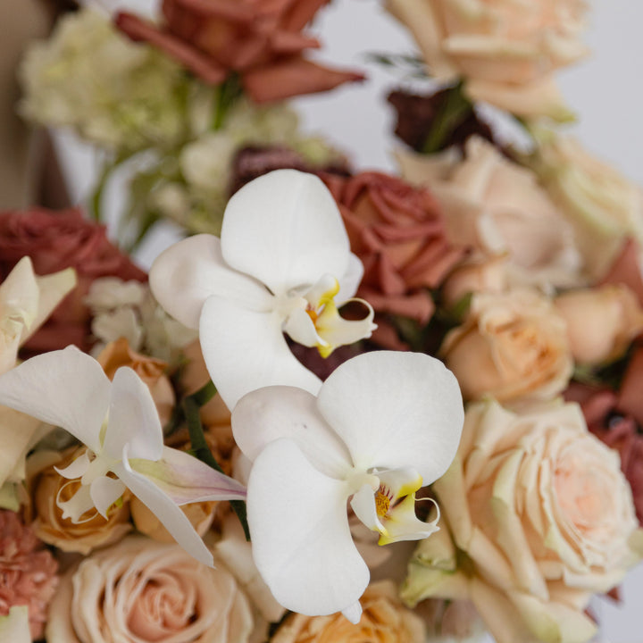 Caffè Latte Basket with white hydrangea and rose