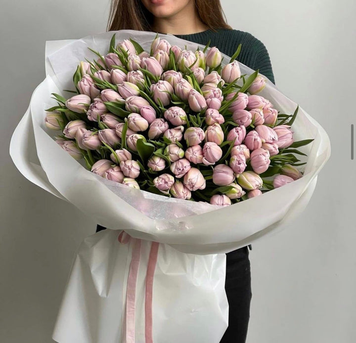 Bouquet of 75 light pink tulips