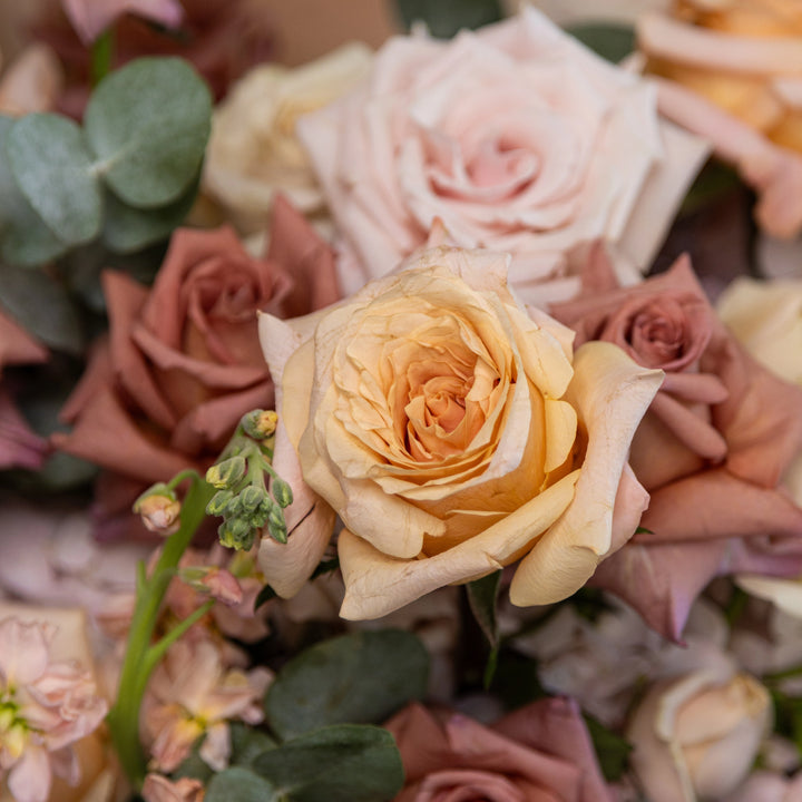 Flower box "Vanilla Sky" with roses, hydrangea, carnation and matthiola