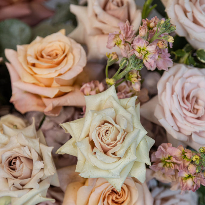 Flower box "Vanilla Sky" with roses, hydrangea, carnation and matthiola