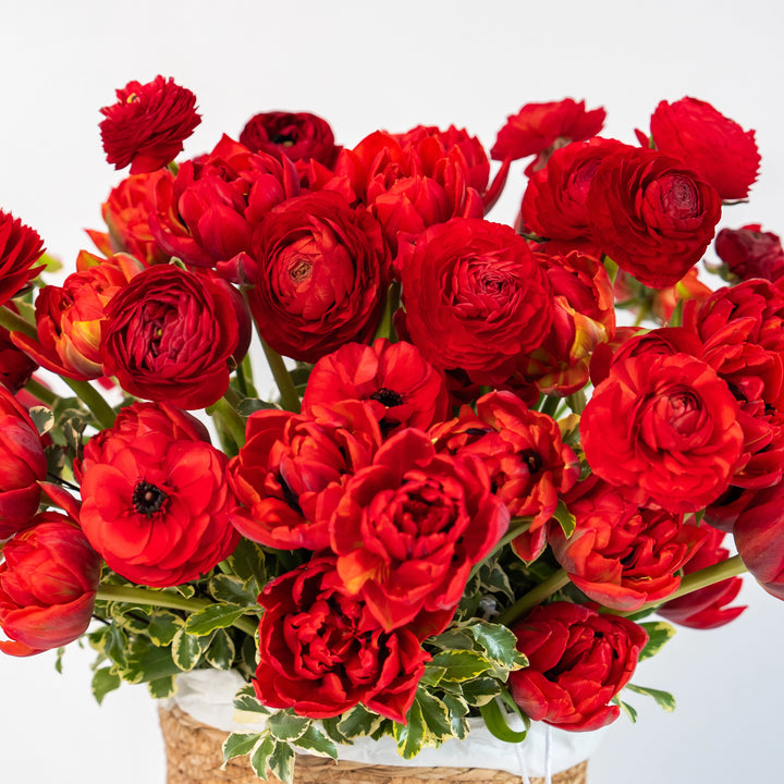 Basket Red garden with tulips and ranunculus